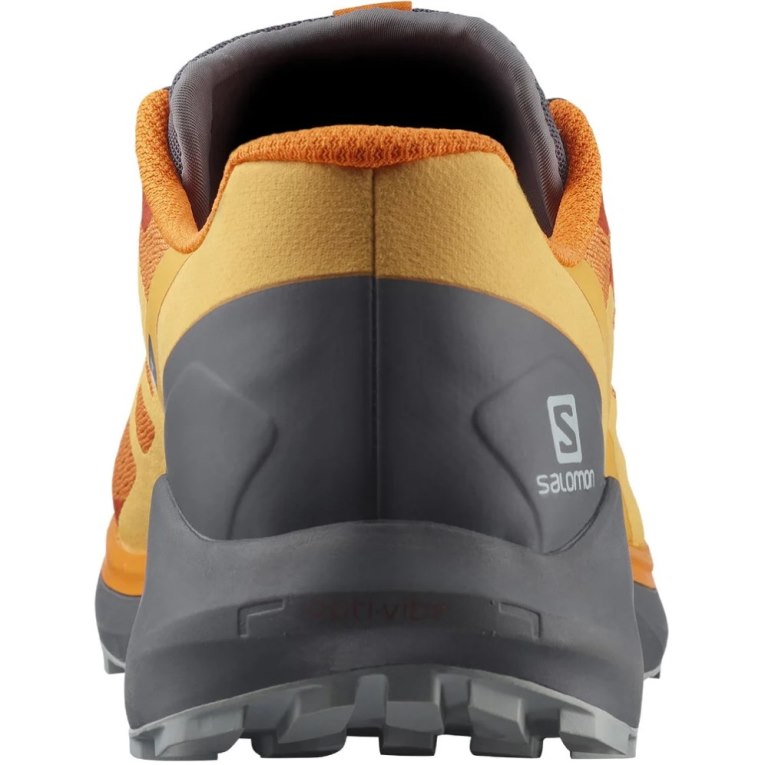 Salomon Sense Ride 4 Men's Trail Running Shoes Orange | CA 4C28